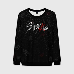 Мужской свитшот 3D Stray kids