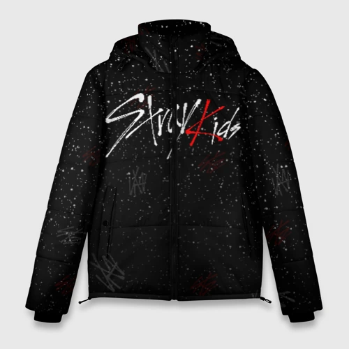 Мужская зимняя куртка 3D Stray kids