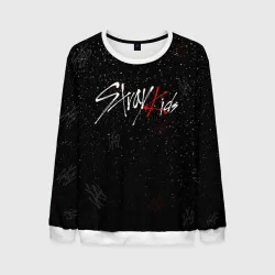 Мужской свитшот 3D Stray kids