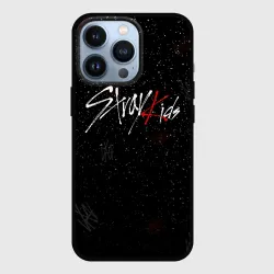 Чехол для iPhone 13 Pro Stray kids