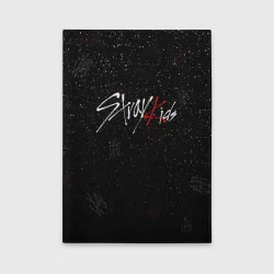 Обложка для автодокументов Stray kids