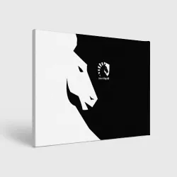 Холст прямоугольный Team liquid Тим ликвид