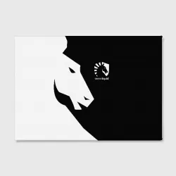 Холст прямоугольный Team liquid Тим ликвид - фото 2