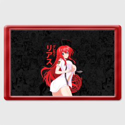 Магнит 45*70 DxD rias Japan style