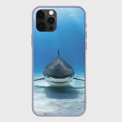 Чехол для iPhone 12 Pro Анфас