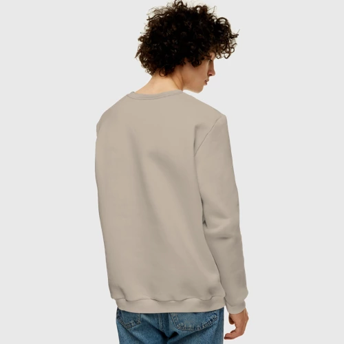 Мужской свитшот хлопок с принтом Буран космический корабль СССР, вид сзади #2