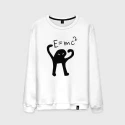 Мужской свитшот хлопок ЪУЪ съука e=mc2