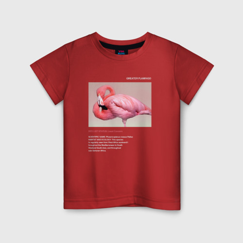 Детская футболка хлопок с принтом Greater Flamingo, вид спереди #2