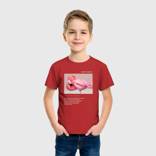 Детская футболка хлопок с принтом Greater Flamingo, фото на моделе #1