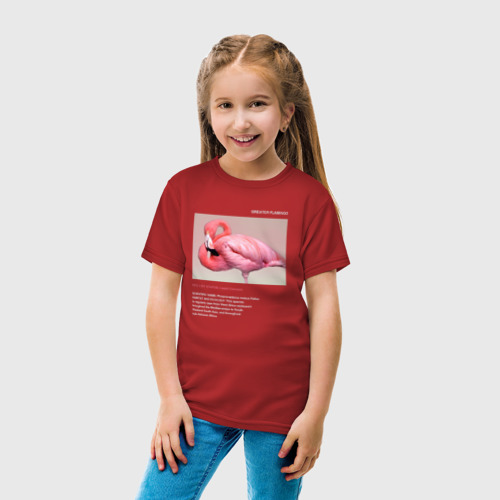 Детская футболка хлопок с принтом Greater Flamingo, вид сбоку #3