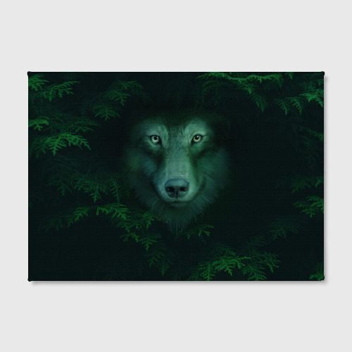 Холст прямоугольный Сибирь. Лесной волк, цвет 3D печать - фото 2