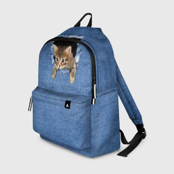 Рюкзак 3D Котёнок в рюкзаке - джинса с дыркой