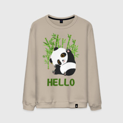 Мужской свитшот хлопок Panda Hello