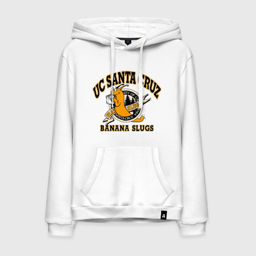 Uc santa cruz hoodie hotsell