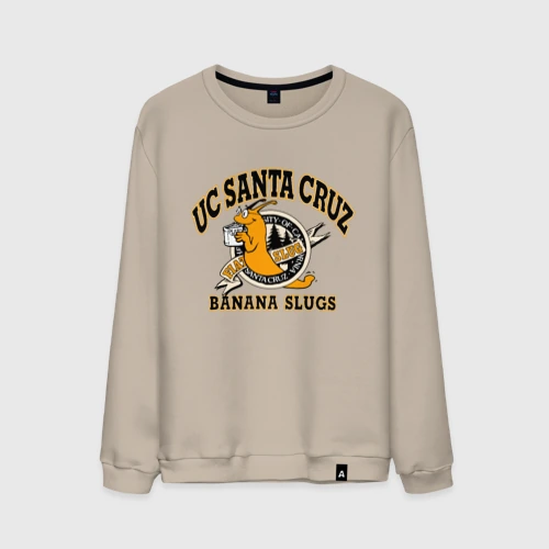 Мужской свитшот хлопок Uc Santa cruz