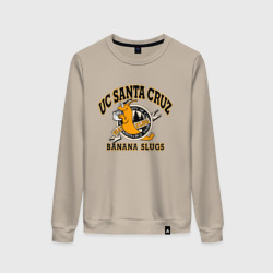 Женский свитшот хлопок Uc Santa cruz