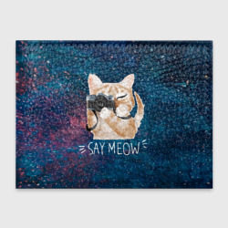 Обложка для студенческого билета Say Meow