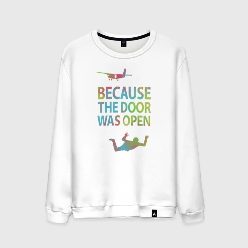 Мужской свитшот хлопок Because the door was open