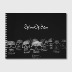 Альбом для рисования Children of Bodom
