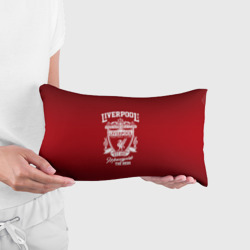 Подушка 3D антистресс Liverpool - фото 2