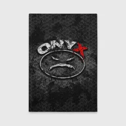 Обложка для автодокументов Onyx