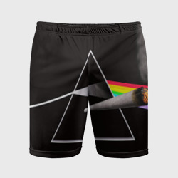 Мужские шорты спортивные Pink Floyd