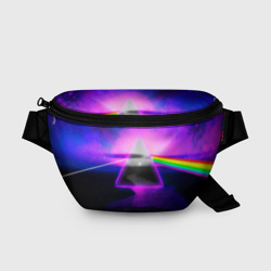 Поясная сумка 3D Pink Floyd