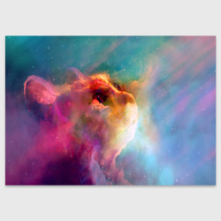 Поздравительная открытка Космический кот