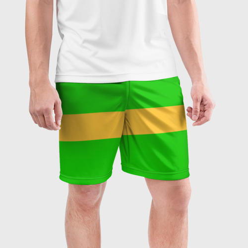 Мужские шорты спортивные с принтом ЧАРА (CHARA) / UNDERTALE, фото на моделе #1