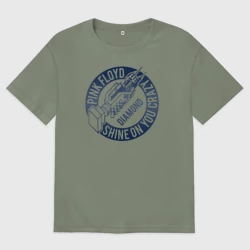 Женская футболка хлопок Oversize Pink Floyd