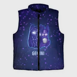 Мужской жилет утепленный 3D Близнецы