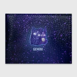 Обложка для студенческого билета Близнецы