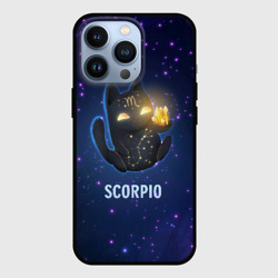 Чехол для iPhone 13 Pro Скорпион