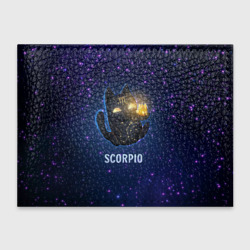 Обложка для студенческого билета Скорпион