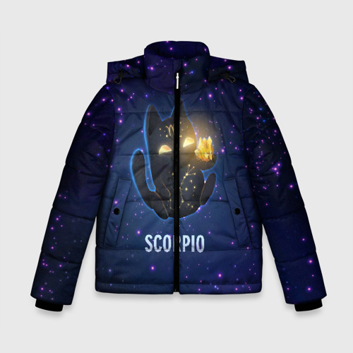 Зимняя куртка для мальчиков 3D Скорпион, цвет светло-серый