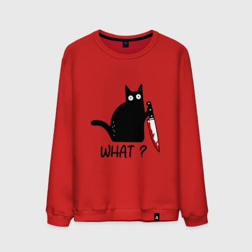 Мужской свитшот хлопок What cat