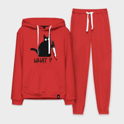 Мужской костюм хлопок с толстовкой What cat