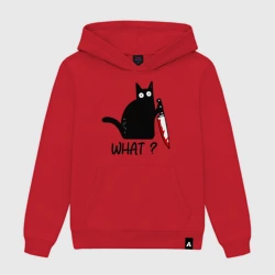 Мужская толстовка хлопок What cat