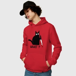 Мужская толстовка хлопок What cat - фото 2