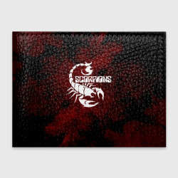 Обложка для студенческого билета Scorpions