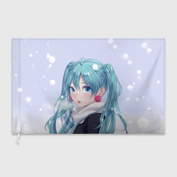 Флаг 3D Hatsune Miku. Winter