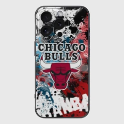 Чехол для iPhone 16 Pro силиконовый с защитой камеры Чикаго Буллз