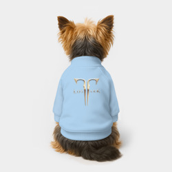 Свитшот для собак хлопок Lost Ark - фото 2