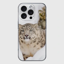 Чехол для iPhone 16 Pro Max силиконовый с защитой камеры Ирбис