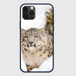 Чехол для iPhone 12 Pro Ирбис