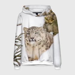 Мужская толстовка 3D Ирбис