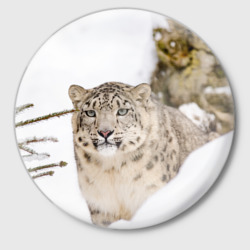 Значок Ирбис