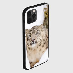 Чехол для iPhone 12 Pro Ирбис - фото 2