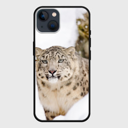 Чехол для iPhone 14 Ирбис