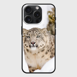 Чехол силиконовый для Apple iPhone 15 Pro матовый Ирбис